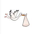 Stork