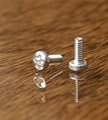 3D Positive Pole Screw