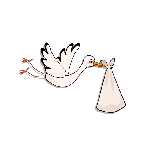 Stork