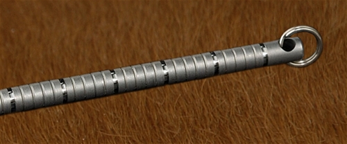 Centipede